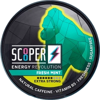 Scooper Energy Fresh Mint